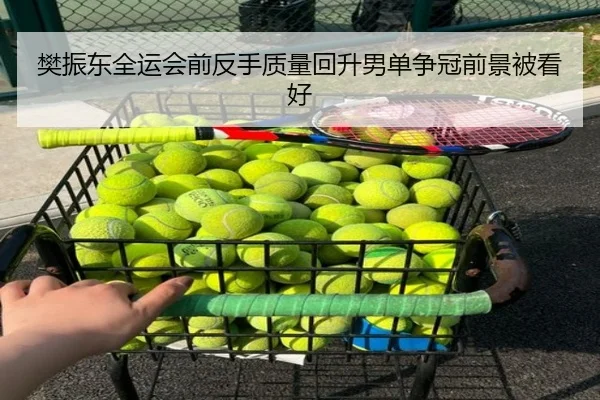 樊振东全运会前反手质量回升男单争冠前景被看好
